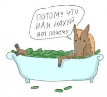 Вот что я нашел в земле за последние 5 лет