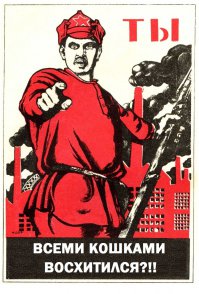 Кошки большие и маленькие, деревянные и железные, сфотографированные и нарисованные