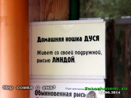 Забавные таблички