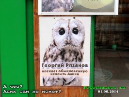 Забавные таблички