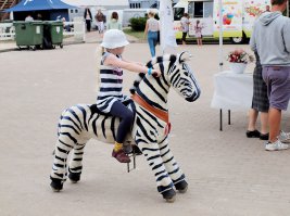 Композиция в фотографии. Правила создания выразительного снимка