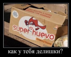  Самые неоднозначные названия иностранных товаров и фирм