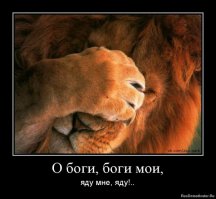 Как смеются львы 