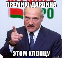 Гифки дня
