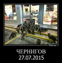 Солянка для Майдана. Часть 108