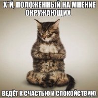 Какую пользу может принести кот?