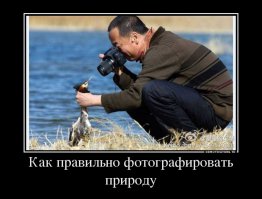 Хороший фотограф всегда в центре внимания