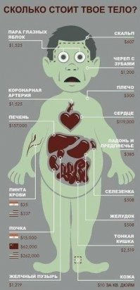 103 интересных факта о человеке