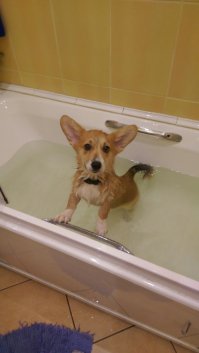 любопытство нас сгубило