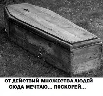 Жизнь в 100 словах