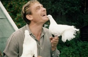 Шикарные голуби 