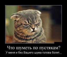 Коты-воришки, пойманные с поличным