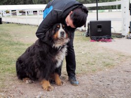 А у кого зубов сильно много?