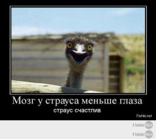 Нежданчик из-за поворота