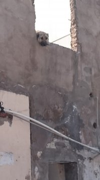 Советский район Баку, которого больше никогда не будет