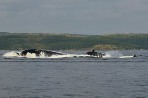 Автор,самый мощный флот России КСФ не забыл? Североморск-столица СФ!