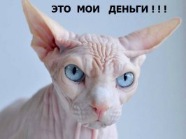 Фотоподборка за 28.07.2015