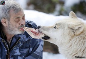 Любовь не знает границ