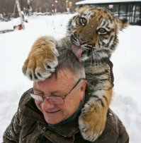 Любовь не знает границ