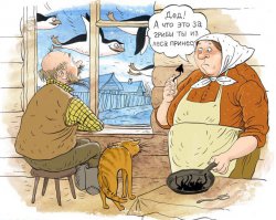 20 фотографий самых красивых грибов в мире