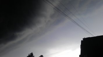 вот мои
