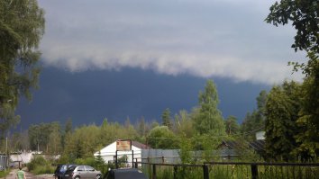 вот мои