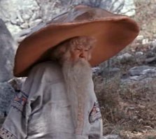 20 фотографий самых красивых грибов в мире