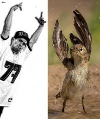 Лучшие фотографии National Geographic за июль