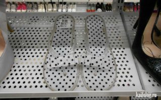 Фотоподборка за 28.07.2015