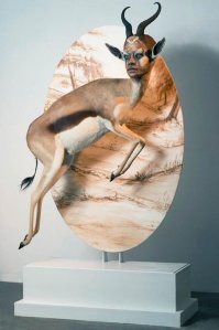 25 безумных творений таксидермистов