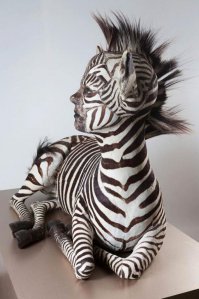 25 безумных творений таксидермистов