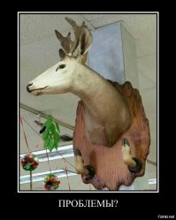 25 безумных творений таксидермистов