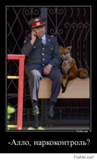 25 безумных творений таксидермистов