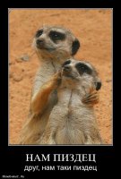 Мышиный "Рай"