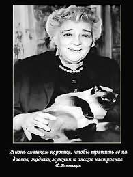 40 редких фотографий кошек и их знаменитостей