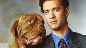 Собачья работа: звёздные роли четвероногих в кино