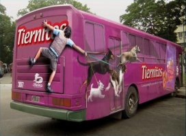 Смешная и необычная реклама на автобусах