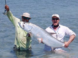 Это Тарпон.