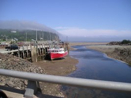 Ага, там этот залив огромный, берег довольно пологий. Когда вода отступила, решили прогуляться по дну. Отошли на пару километров, а потом прилив начался. Прилив наступает с очень маленькой скоростью, пешком можно обогнать, однако про то, что дно не однородное мы как-то не подумали... Вобщем идем, идем, а перед нами река... Спаслись, но промокли с ног до головы 

На фотке видно, как далеко от берега вода отошла. Во время прилива она доходит до места, откуда я фотку сделал.