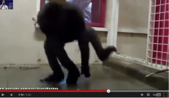 Вот это прям в точку!!!!