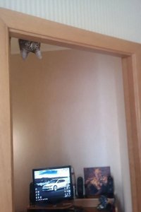 Он следит за тобой.