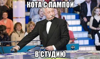 15 невероятных фотографий, которых не касался фотошоп