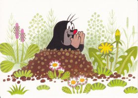 Газон мечты