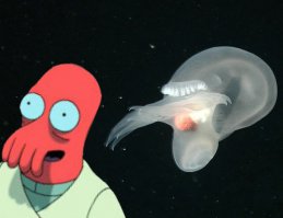 Тайны океанов. Встречи в синих глубинах