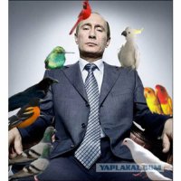 Домашние любимцы глав государств