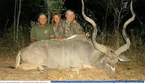 А так "святое семейство" развлекается на сафари :