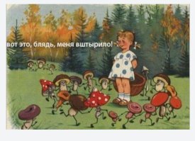 20 фотографий самых красивых грибов в мире