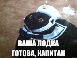 Капитан и его корабль 
