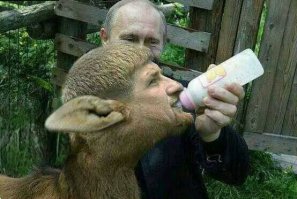 Домашние любимцы глав государств