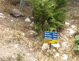 да ведь это же на пешеходных дорожках в парках ) 
наши тоже развлекаются как могут